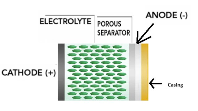 an ses cell